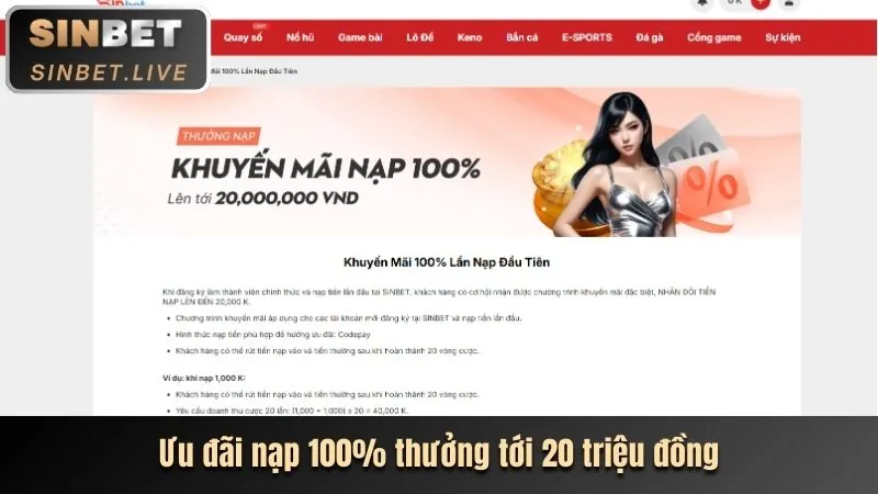 Hoàn trả hàng tuần abc8